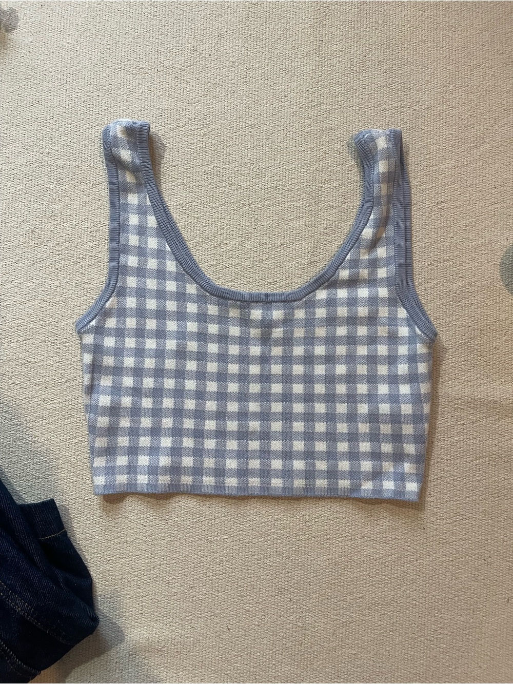 Garage Periwinkle Gingham Knit Crop Tank — Coquette / Cottagecore — Size XS